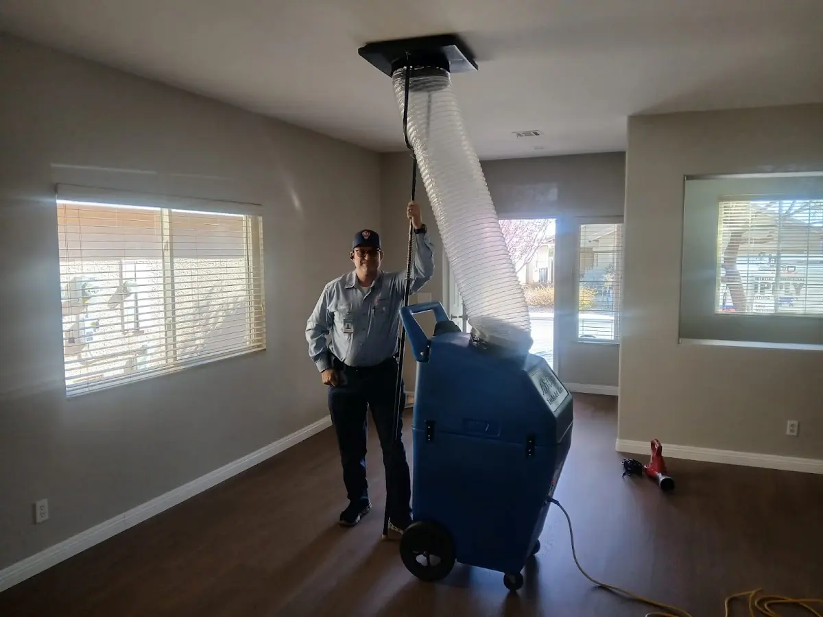 Professional Dryer Vent Cleaning work inside a Randolph Town home